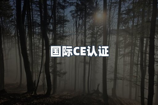 国际CE认证